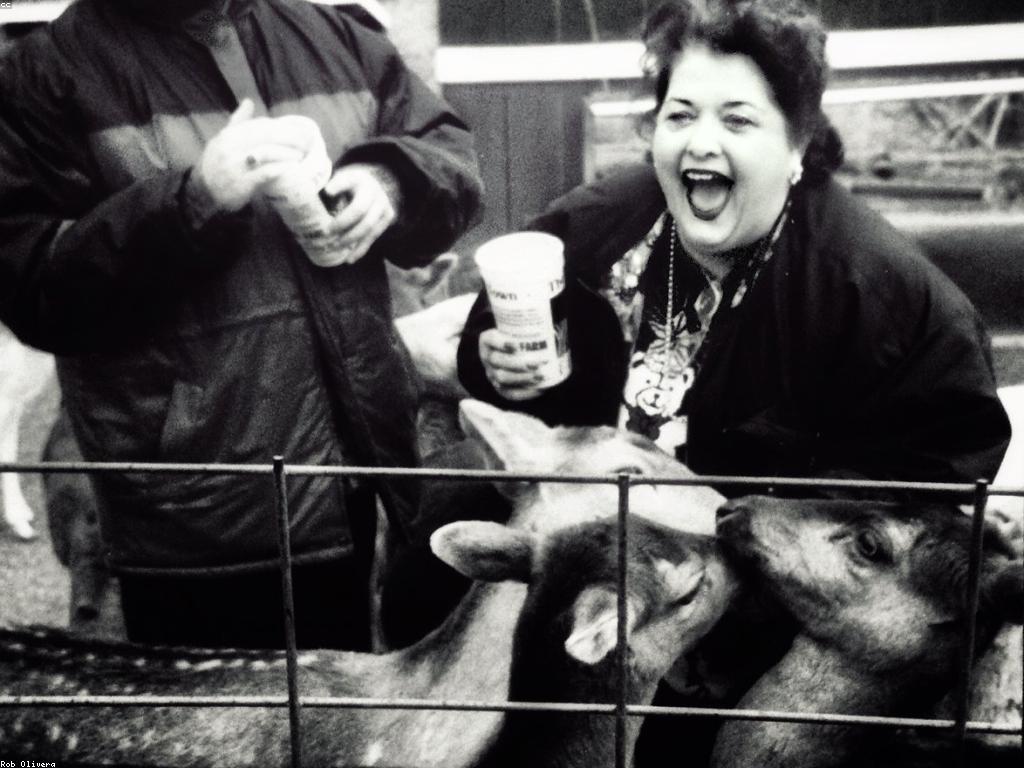 របៀបគ្រប់គ្រងអារម្មណ៍